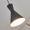 Vijes Lampadario a sospensione Nero, 1-Luce