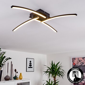 Aringa Plafoniera LED Nero, 1-Luce