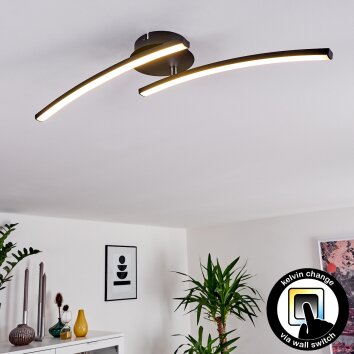 Aringa Plafoniera LED Nero, 1-Luce