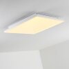 Bankura Plafoniera LED Bianco, 1-Luce, Telecomando