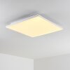 Bankura Plafoniera LED Bianco, 1-Luce, Telecomando