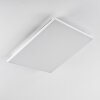 Bankura Plafoniera LED Bianco, 1-Luce, Telecomando