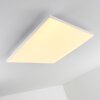 Bankura Plafoniera LED Bianco, 1-Luce, Telecomando