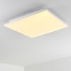 Bankura Plafoniera LED Bianco, 1-Luce, Telecomando