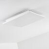 Bankura Plafoniera LED Bianco, 1-Luce, Telecomando