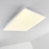 Bankura Plafoniera LED Bianco, 1-Luce, Telecomando