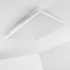 Bankura Plafoniera LED Bianco, 1-Luce, Telecomando