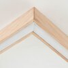 Brilliant Delgrosso Plafoniera LED Legno chiaro, 1-Luce