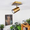 Zuoz Plafoniera Ottone antico, 1-Luce