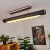 Rodeche Plafoniera LED Nichel opaco, Nero, 1-Luce