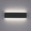 Paul-Neuhaus ELSA Applique da esterno LED Antracite, 2-Luci