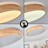 Samaira Plafoniera LED Bianco, 1-Luce