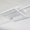 Hyacinthe Plafoniera LED Cromo, Bianco, 1-Luce