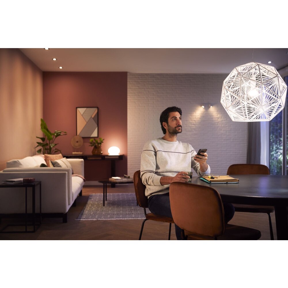 Philips Hue White Ambiance LED E27 13,5 Watt 2200 - 6500 Kelvin 1200 Lumen  8719514288195