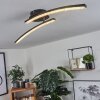 Rheinfelden Plafoniera LED Nero, 1-Luce