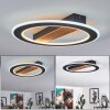 Katila Plafoniera LED Marrone, Nero, 1-Luce