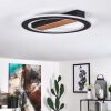 Katila Plafoniera LED Marrone, Nero, 1-Luce