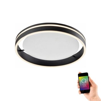 Plafoniera Paul Neuhaus Q-VITO LED Antracite, 1-Luce, Telecomando