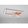 Reality Padella Plafoniera LED Oro rosa, 1-Luce