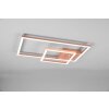 Reality Padella Plafoniera LED Oro rosa, 1-Luce