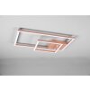 Reality Padella Plafoniera LED Oro rosa, 1-Luce