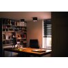 Philips Hue Pillar Plafoniera LED Nero, 2-Luci, Telecomando