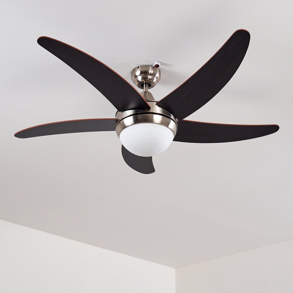 Ventilatori a soffitto Morino Marrone, Nichel opaco H3013335-shop