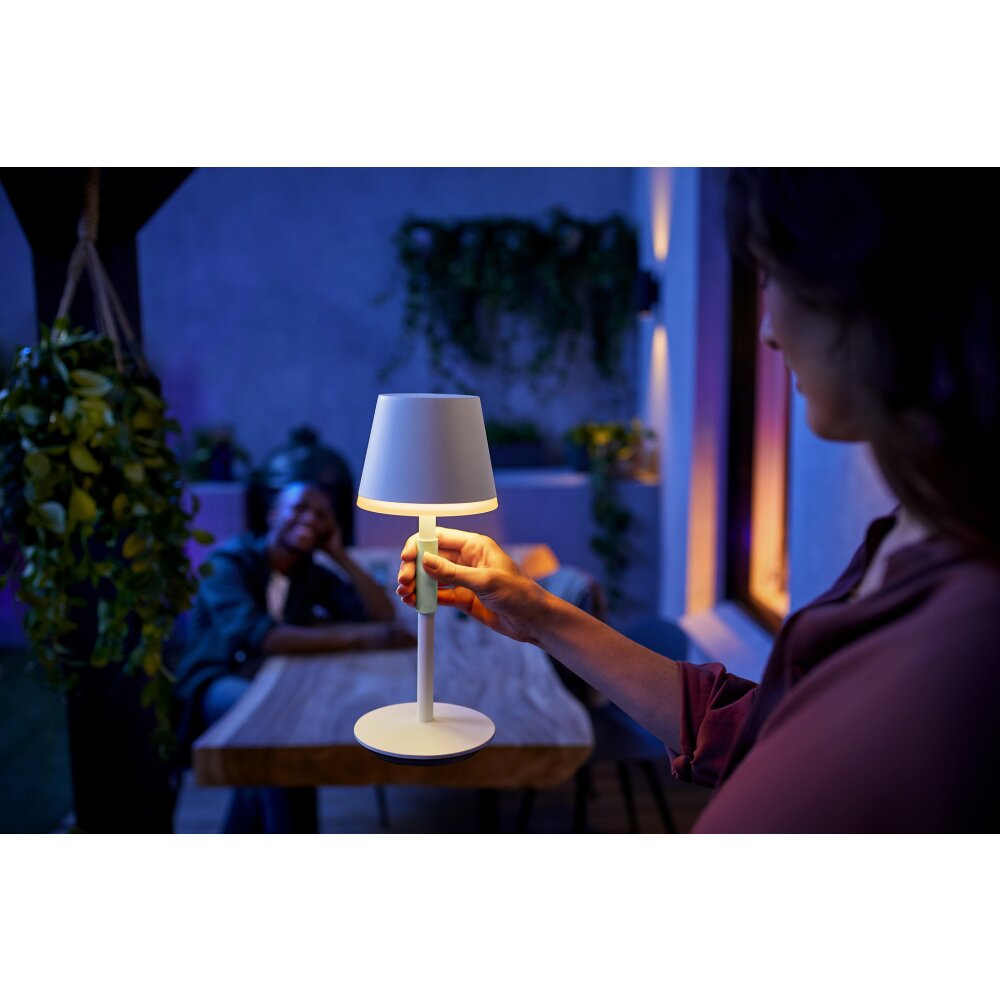 Philips Hue Go Lampada da tavolo LED Verde, Bianco 8719514404571