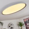 Kombito Plafoniera LED Argento, Bianco, 1-Luce, Telecomando