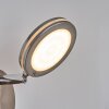 Sarnadinha Applique LED Nichel opaco, 1-Luce