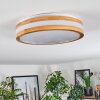 Sofo Plafoniera LED Bianco, 1-Luce