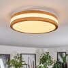 Sofo Plafoniera LED Bianco, 1-Luce