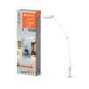 Illuminazione Ledvance Sun@Home Lampada da tavolo LED Bianco, 1-Luce