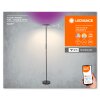 Illuminazione Ledvance Wifi Lampada da terra LED Nero, 1-Luce, Cambia colore