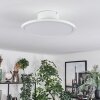 Rishult Plafoniera LED Bianco, 1-Luce