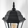 Etoe Lampione multibraccia, Illuminazione viale Nero, 2-Luci