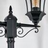 Etoe Lampione multibraccia, Illuminazione viale Nero, 2-Luci