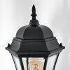 Etoe Lampione multibraccia, Illuminazione viale Nero, 3-Luci