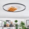 Pompu Plafoniera LED Écru, Nero, 1-Luce