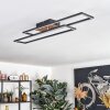 Macos Plafoniera, Faretto da soffitto LED Marrone, Aspetto del legno, Nero, 1-Luce