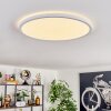 Endrup Plafoniera LED Bianco, 1-Luce