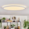 Endrup Plafoniera LED Bianco, 1-Luce