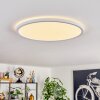 Endrup Plafoniera LED Bianco, 1-Luce