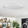 Endrup Plafoniera LED Bianco, 1-Luce