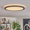 Endrup Plafoniera LED Nero, 1-Luce