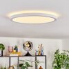 Endrup Plafoniera LED Bianco, 1-Luce