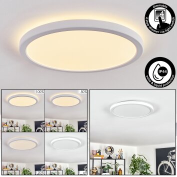 Endrup Plafoniera LED Bianco, 1-Luce