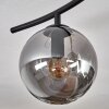 Gastor Plafoniera, Lampada a sfera Cromo, Grigio fumo, 6-Luci