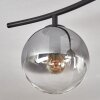 Gastor Plafoniera, Lampada a sfera Cromo, Chiaro, Grigio fumo, 6-Luci