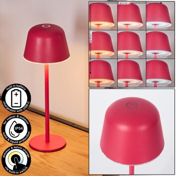 Asen Lampada da tavolo per esterno, Lampada da tavolo LED Fucsia, 1-Luce